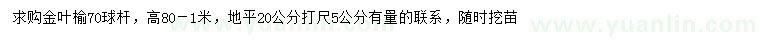 求購20量5公分金葉榆