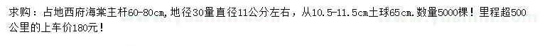 求購(gòu)30量11公分左右西府海棠