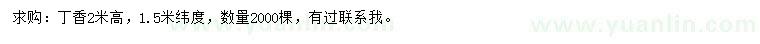 求購高2米丁香