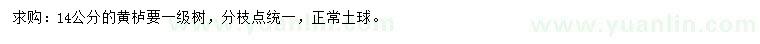 求購14公分黃櫨
