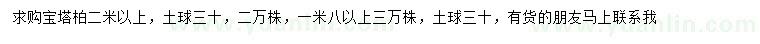 求購1.8、2米以上寶塔柏