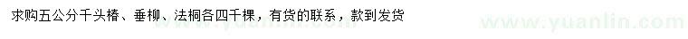 求購千頭椿、垂柳、法桐