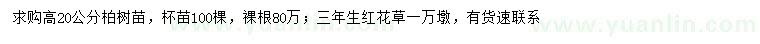 求購高20公分柏樹、三年生紅花草
