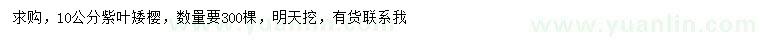 求購10公分紫葉矮櫻
