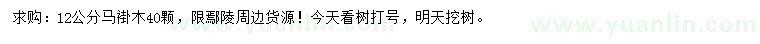 求購12公分馬褂木