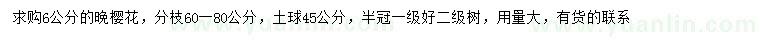 求購6公分晚櫻
