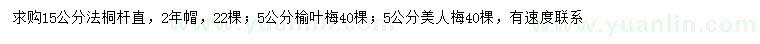 求購法桐、榆葉梅、美人梅