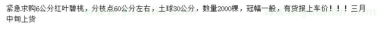 求購6公分紅葉碧桃