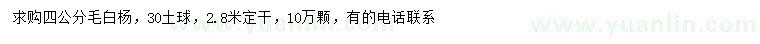 求購(gòu)4公分毛白楊