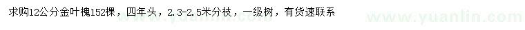 求購12公分金葉槐