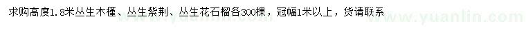 求購叢生木槿、叢生紫荊、叢生花石榴