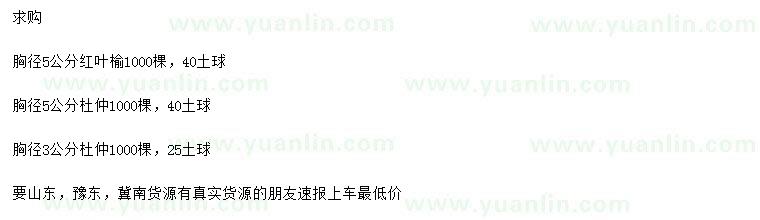 求購胸徑5公分紅葉榆、胸徑3、5公分杜仲