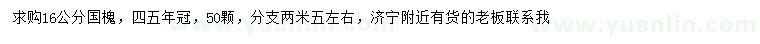 求購16公分國槐