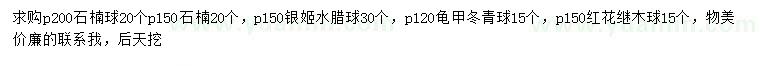 求購石楠球、銀姬水蠟球、龜甲冬青球等