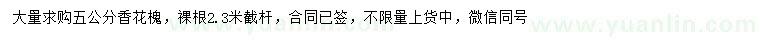 求購5公分香花槐