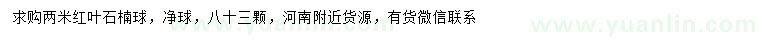 求購(gòu)2米紅葉石楠球