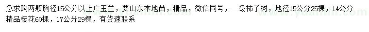 求購廣玉蘭、柿子樹、櫻花