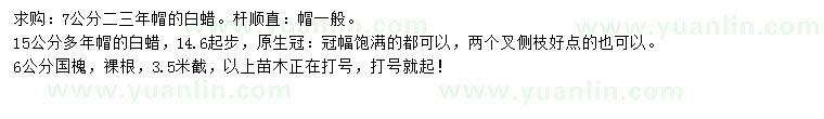 求購7、15公分白蠟、6公分國槐