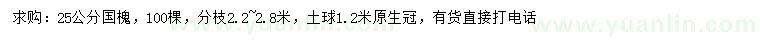 求購25公分國槐