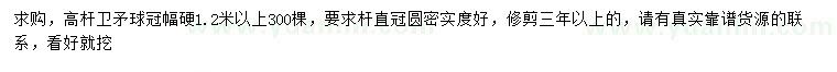 求購冠幅1.2米以上衛(wèi)矛球