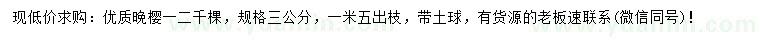 求購3公分晚櫻