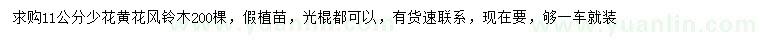 求購11公分少花黃花風鈴木