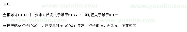 求購金露梅、銀露梅、垂穗草種子等