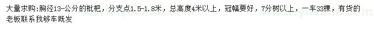 求購(gòu)胸徑13公分枇杷