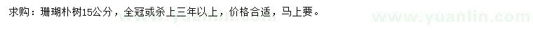 求購15公分珊瑚樸