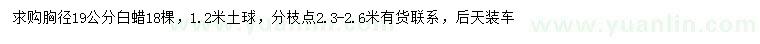 求購胸徑19公分白蠟