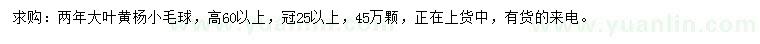 求購高60公分以上大葉黃楊球