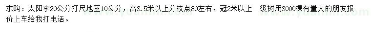 求購(gòu)20公分打尺10公分太陽(yáng)李