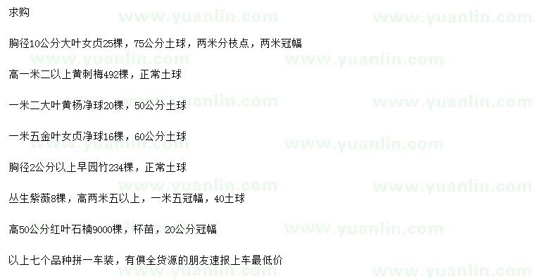 求購大葉女貞、黃刺、黃楊球等