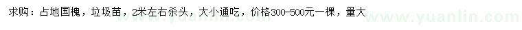求購(gòu)國(guó)槐