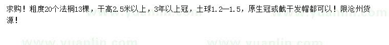 求購20公分法桐