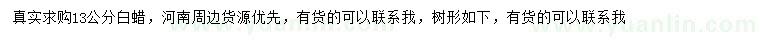 求購(gòu)13公分白蠟