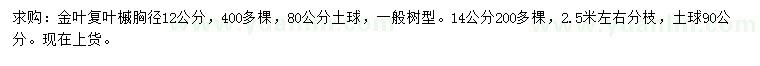 求購(gòu)胸徑12、14公分金葉復(fù)葉槭