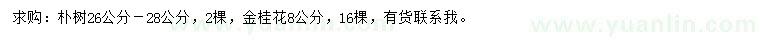 求購(gòu)26-28公分樸樹、8公分金桂