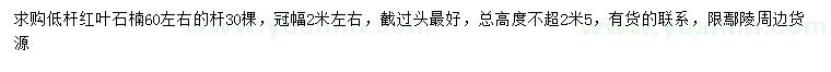 求購高2.5米紅葉石楠