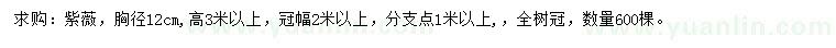 求購胸徑12公分紫薇