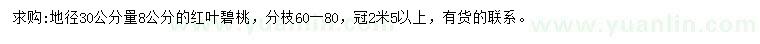 求購(gòu)30量8公分紅葉碧桃