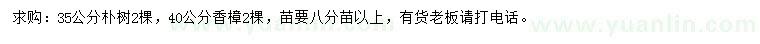 求購35公分樸樹、40公分香樟