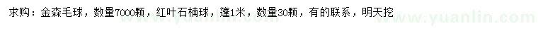 求購冠1米金森球、紅葉石楠球