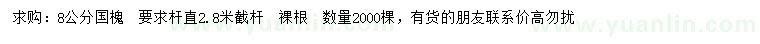 求購8公分國槐