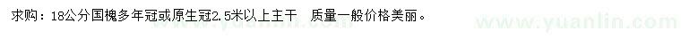 求購18公分國槐