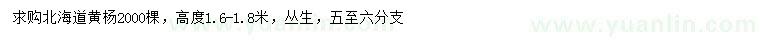 求購高1.6-1.8米叢生北海道黃楊