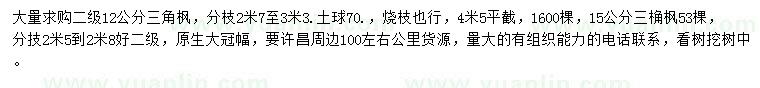 求購12、15公分三角楓