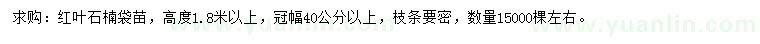 求購(gòu)高1.8米以上紅葉石楠