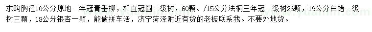 求購青垂柳、法桐、白蠟等