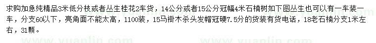 求購叢生桂花、石楠、馬褂木等